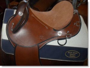 morgan_webb_saddle_home